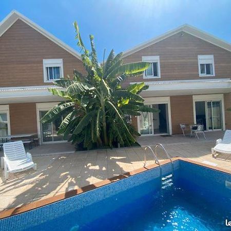 Étang-Salé les Bains Villa Soleil מראה חיצוני תמונה